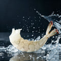 Frozen Organic Salt Field Peeled Shrimp